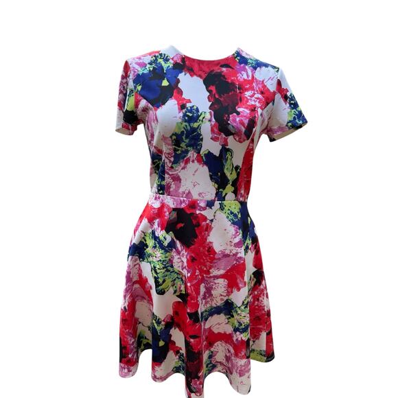 Milly Rosabella Design Nation Floral Fit and Flare Dress SZ 6 - Picture 2 of 4